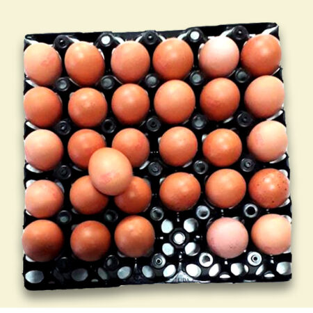Oeufs Ferme des Pételles Anloy