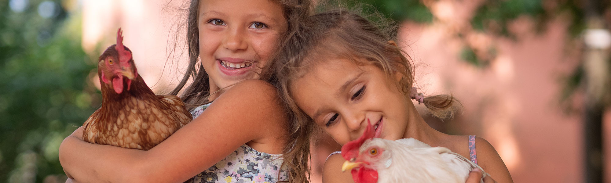 Visite à la ferme